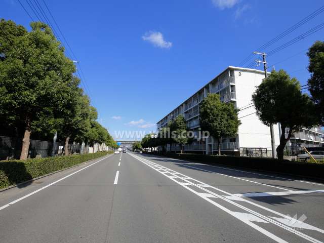 敷地西側の四車線のバス通り