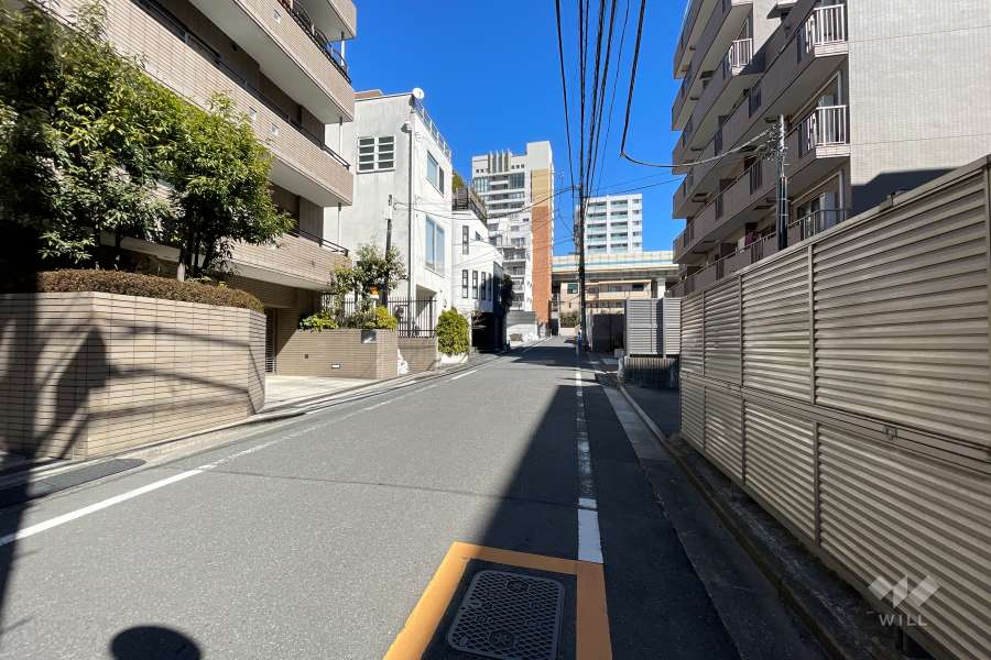 敷地南側の前面道路（西側から）