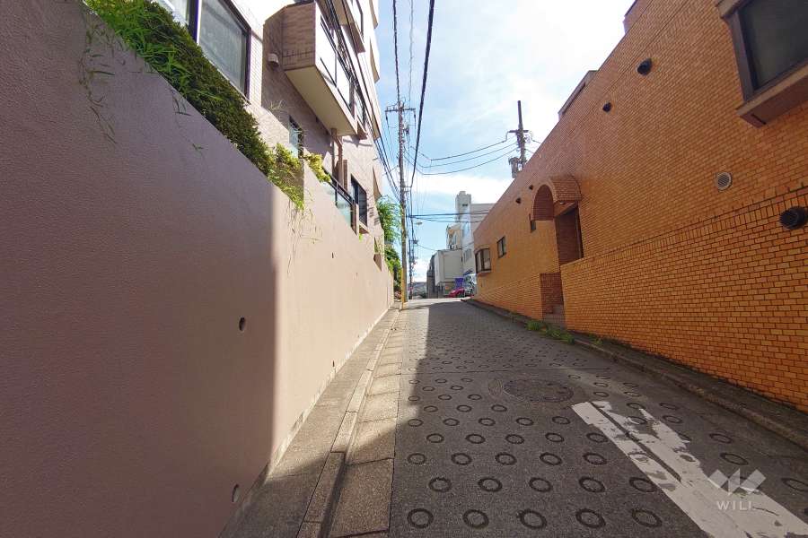 敷地南東側の前面道路（南西側から）