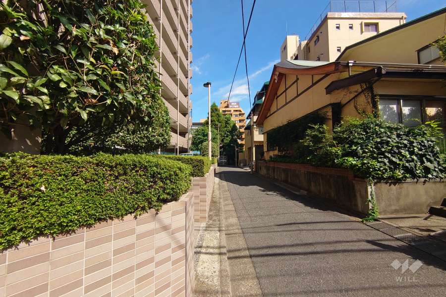 敷地北東側の前面道路（南東側から）