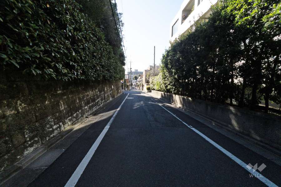 敷地南側の前面道路