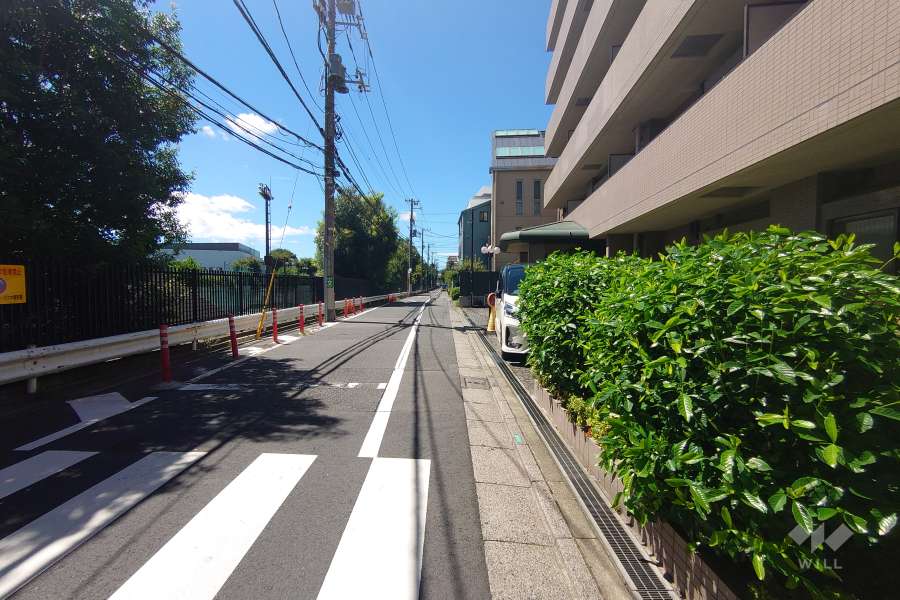 敷地南東側の前面道路（北東側から）