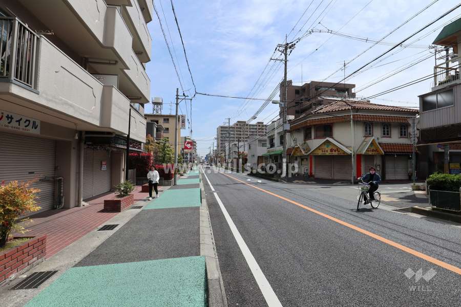 敷地南側の前面道路(西側から)