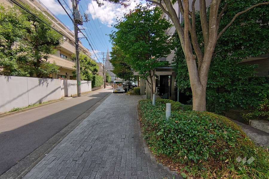 敷地北西側の前面道路（南西側から）