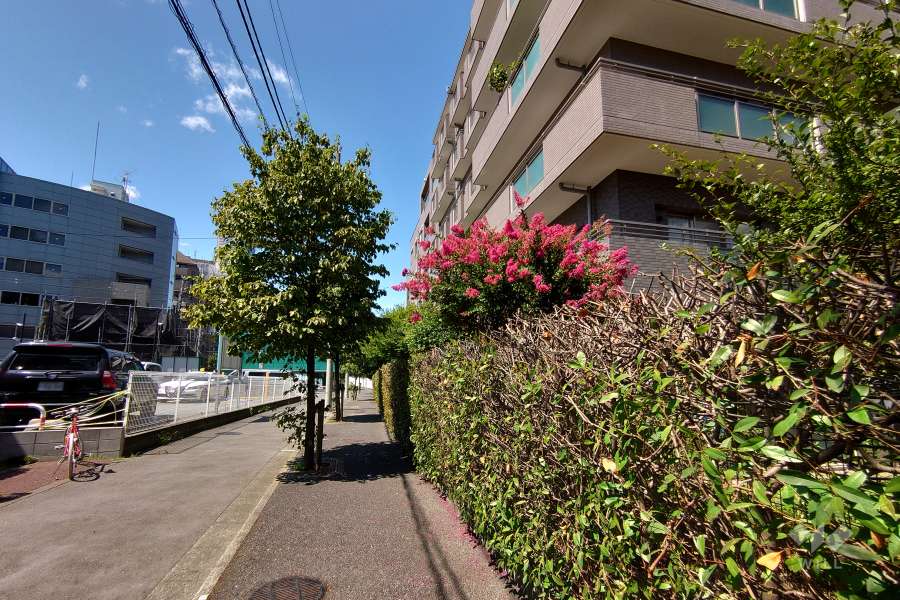 敷地南西側の前面道路（南東側から）