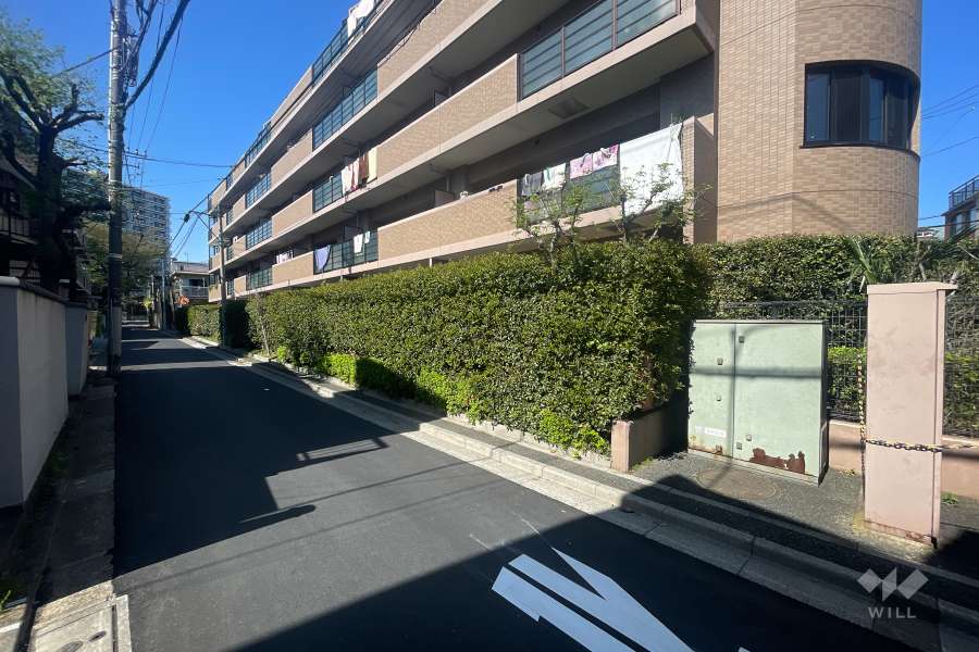 敷地南西側の前面道路（南東側から）