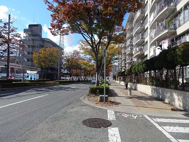 敷地南側の前面道路（山幹通り）