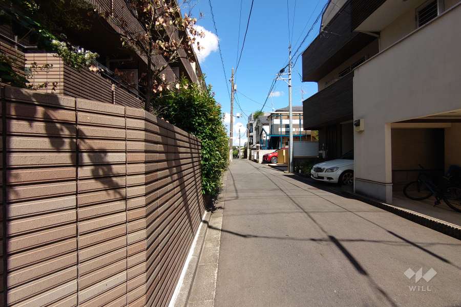 敷地南東側の前面道路（南西側から）