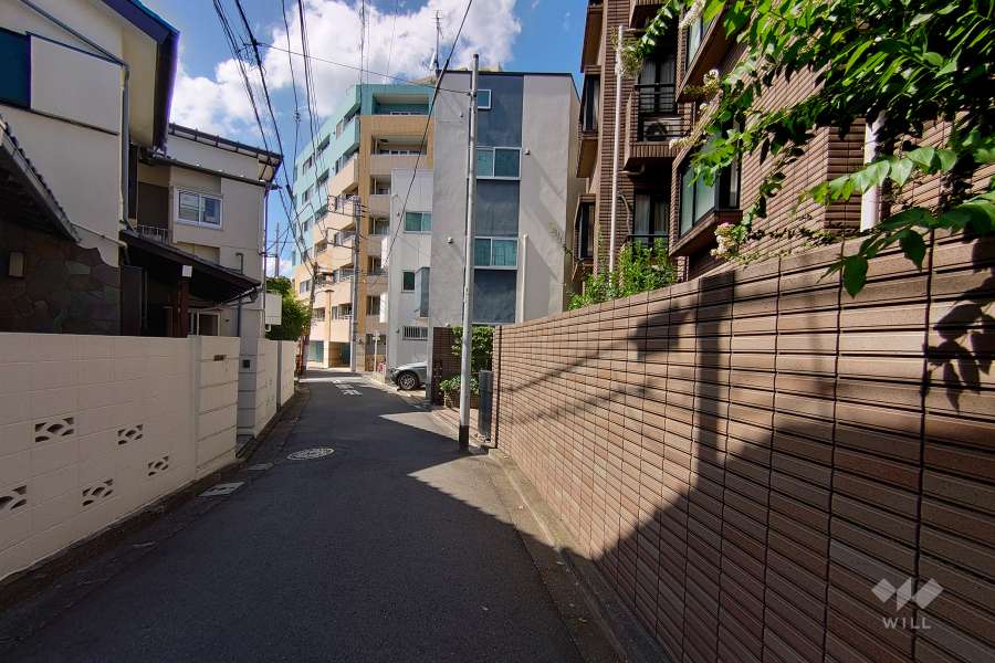 敷地南西側の前面道路（南東側から）