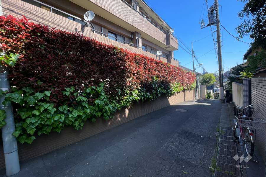 敷地南東側の前面道路（南西側から）