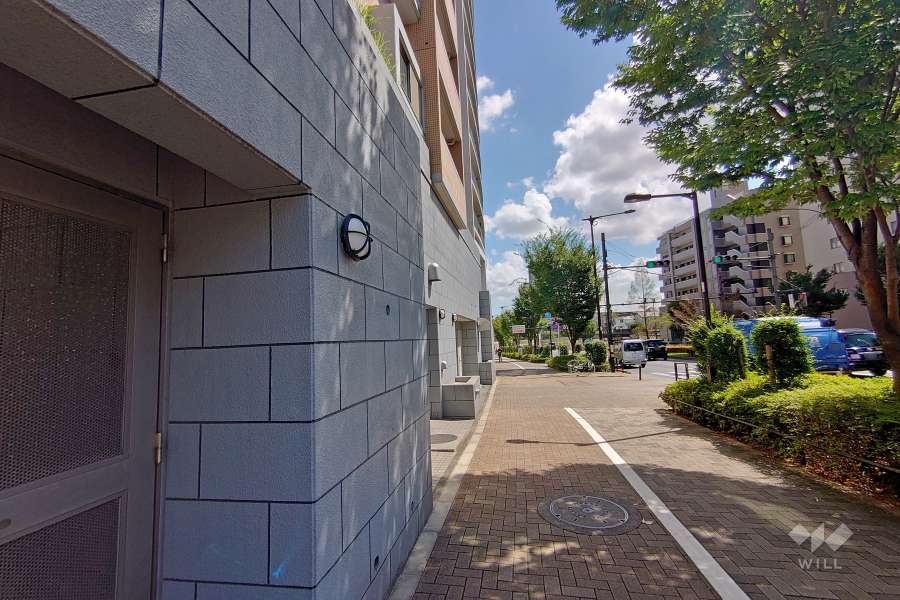 敷地西側の前面道路（北側から）