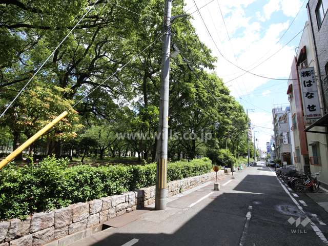 敷地西側の前面道路。目の前に『宮前公園』があります。