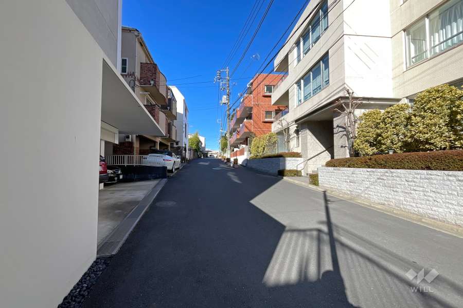 敷地南側の前面道路（東側から）