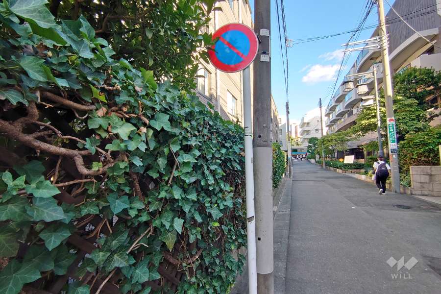 敷地西側の前面道路（北西側から）