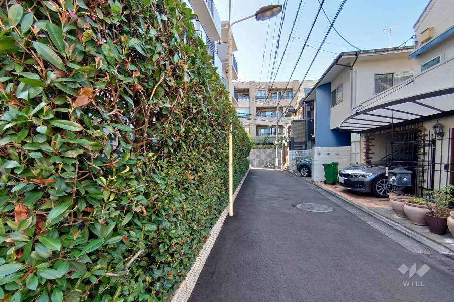敷地北東側の前面道路（南東側から）