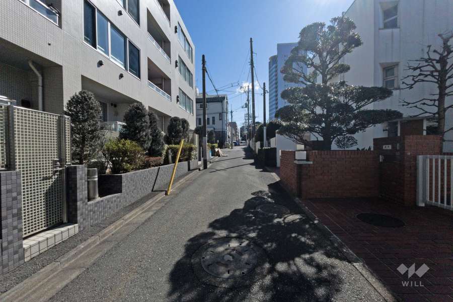 敷地西側の前面道路