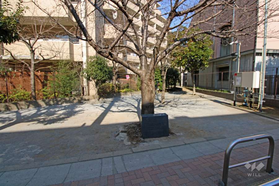 隣接する西原どんぐり公園