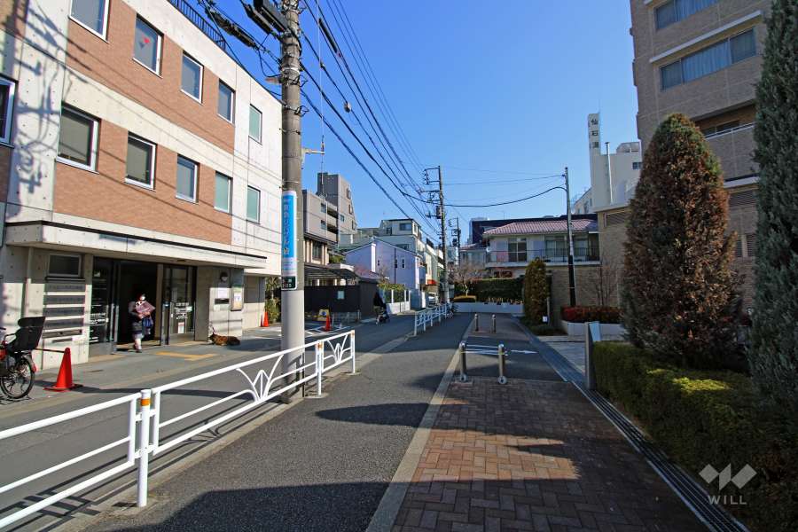 敷地北西の前面道路（南西側から）