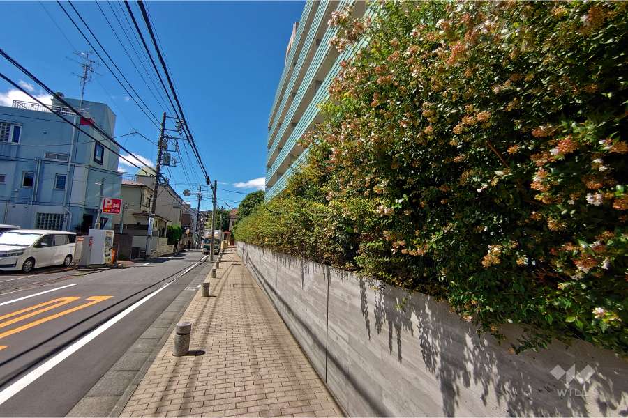 敷地南東側の前面道路（北東側から）