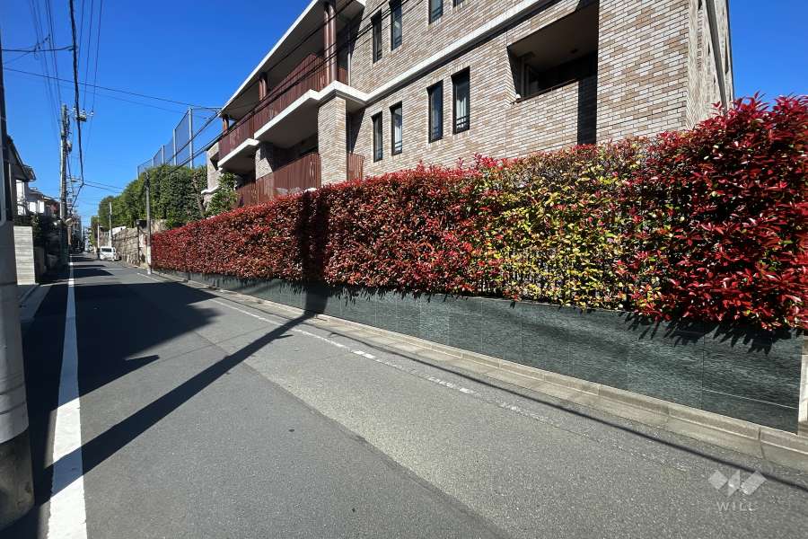敷地南側の前面道路（東側から）
