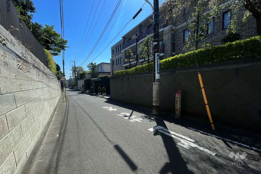 敷地北側の前面道路（西側から）