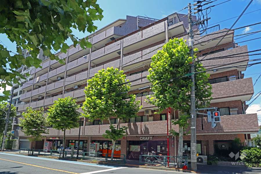 ライオンズヴィアーレ幡ヶ谷の外観（南東側から）