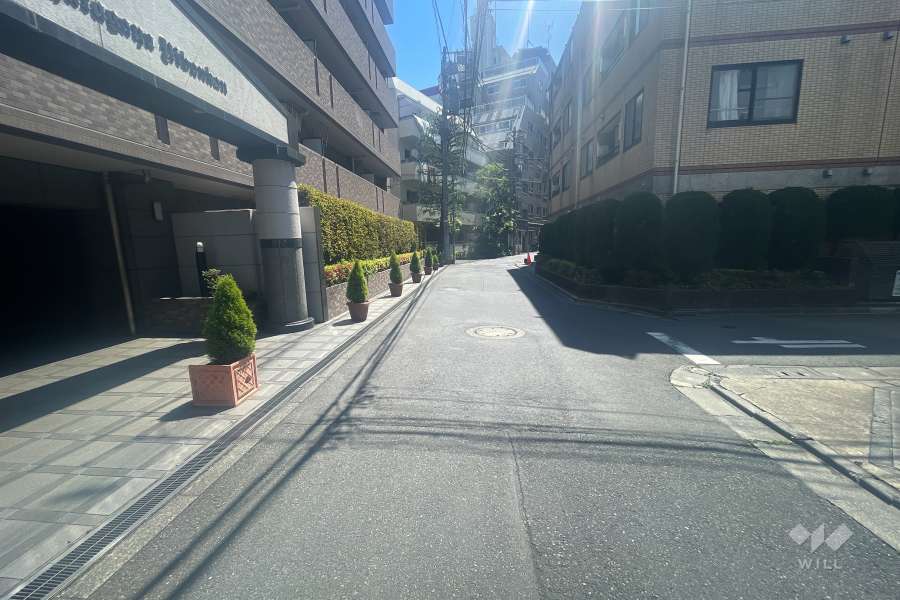 敷地南西側の前面道路（北西側から）