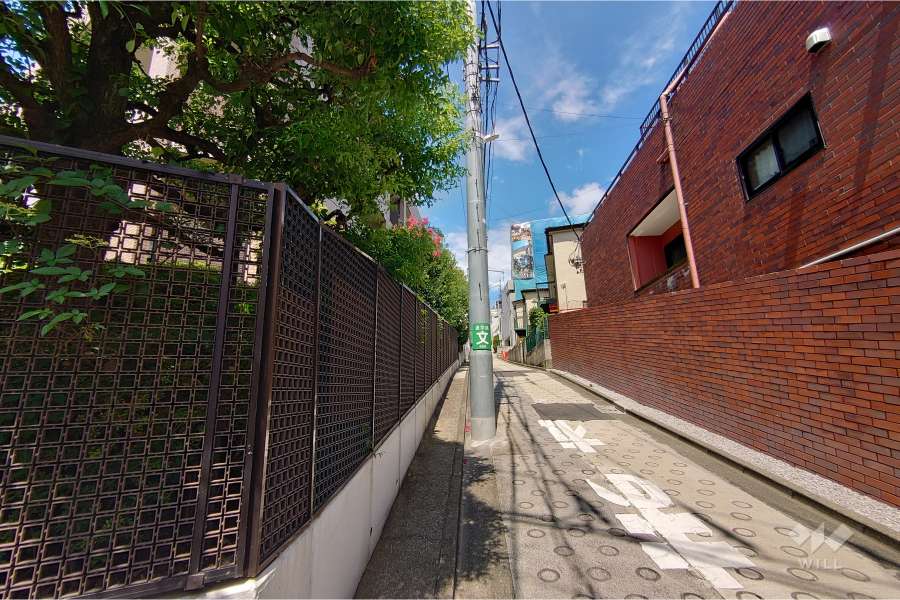 敷地南東側の前面道路（南西側から）