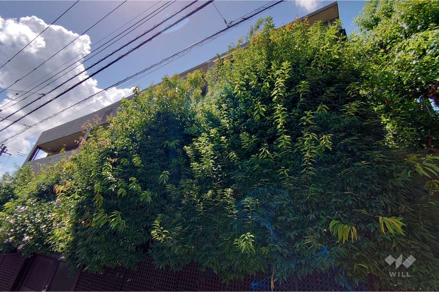 ライオンズヒルズ参宮橋の外観（北東側から）