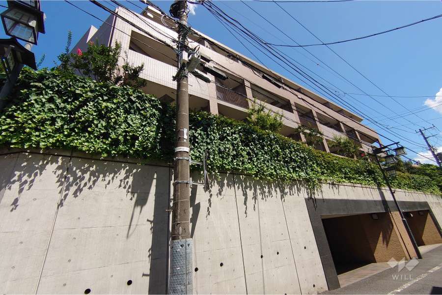 ライオンズヒルズ参宮橋の外観（北西側から）