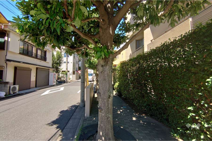 敷地南西側の前面道路（南東側から）