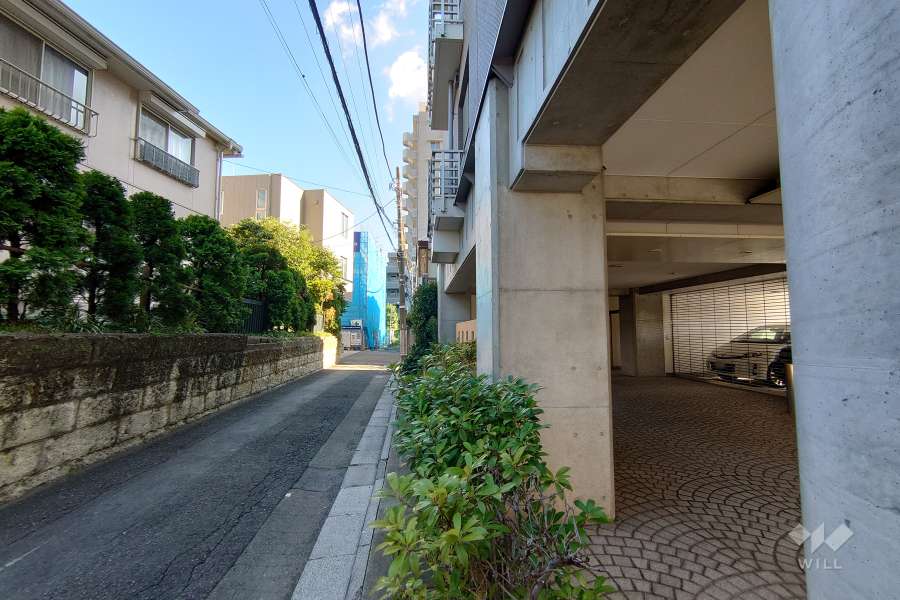 敷地東側の前面道路（北側から）