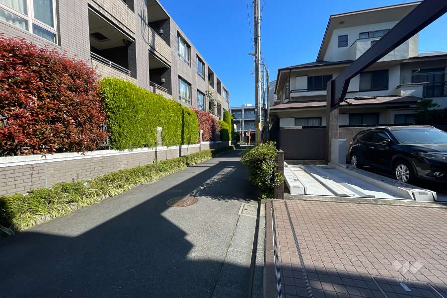 敷地北西側の前面道路（南西側から）