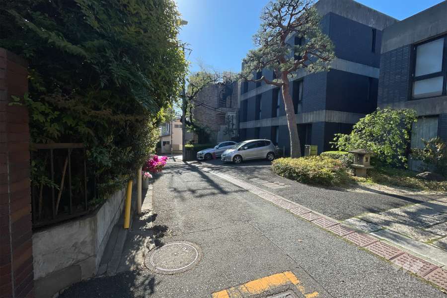 敷地東側の前面道路（西側から）