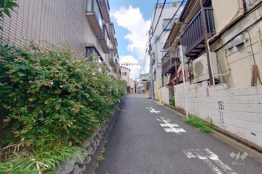 敷地北側の前面道路（東側から）
