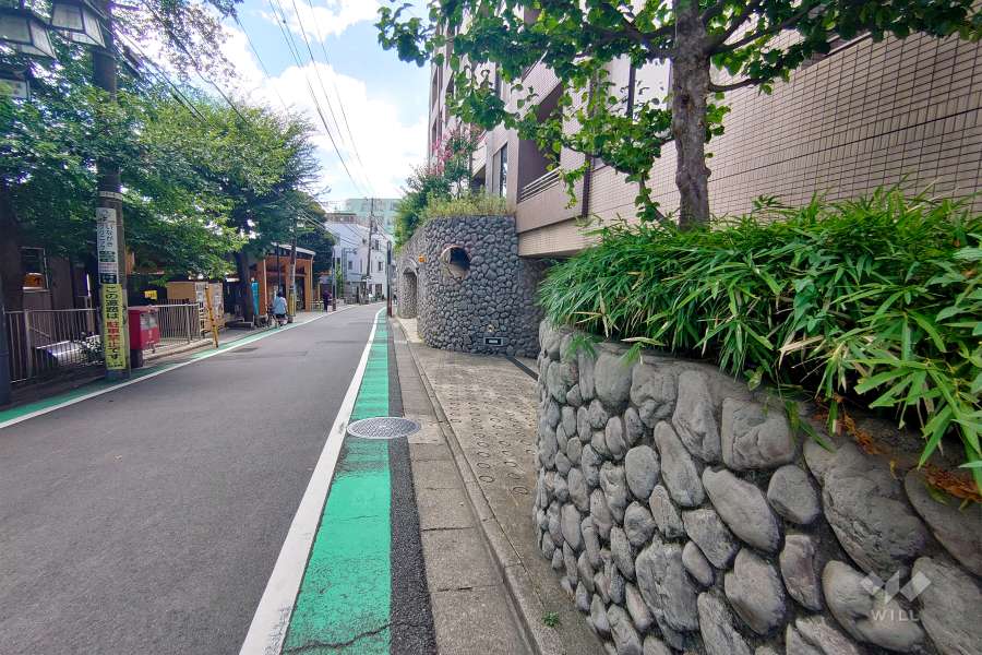 敷地東側の前面道路（北側から）