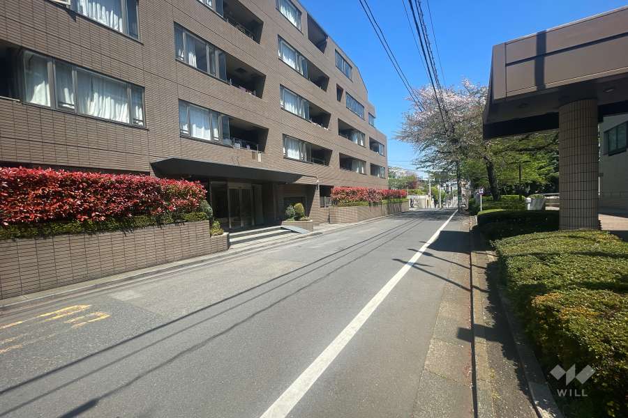 敷地南東側の前面道路（南西側から）