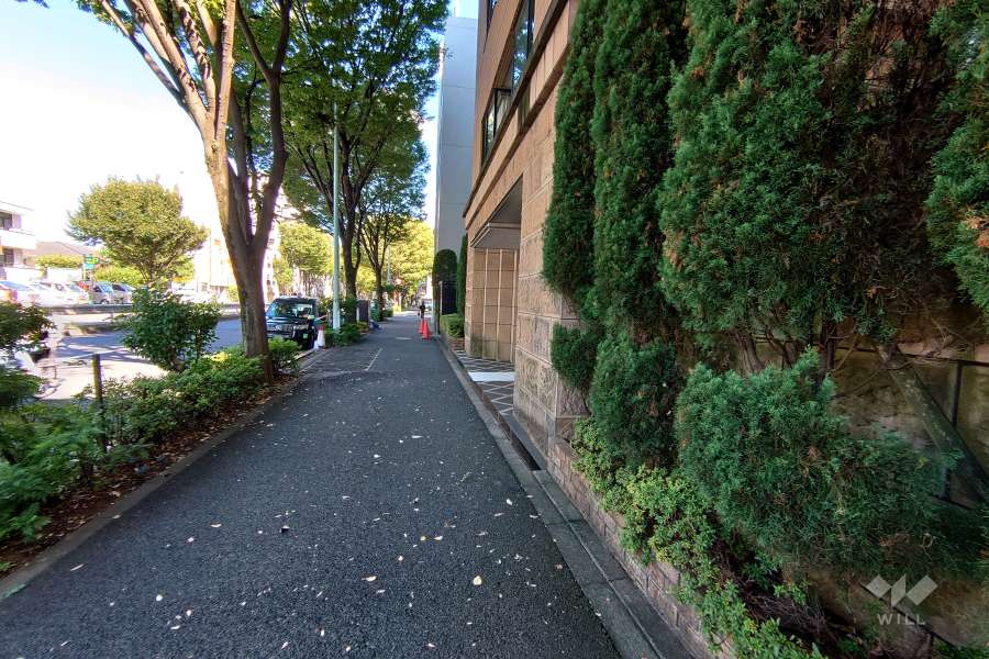 敷地北側の前面道路（西側から）