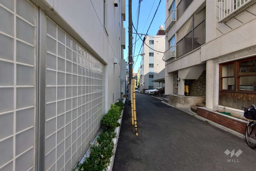 敷地東側の前面道路（南側から）