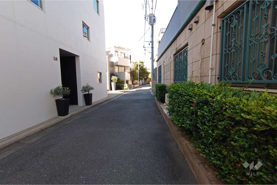 敷地西側の前面道路（南側から）