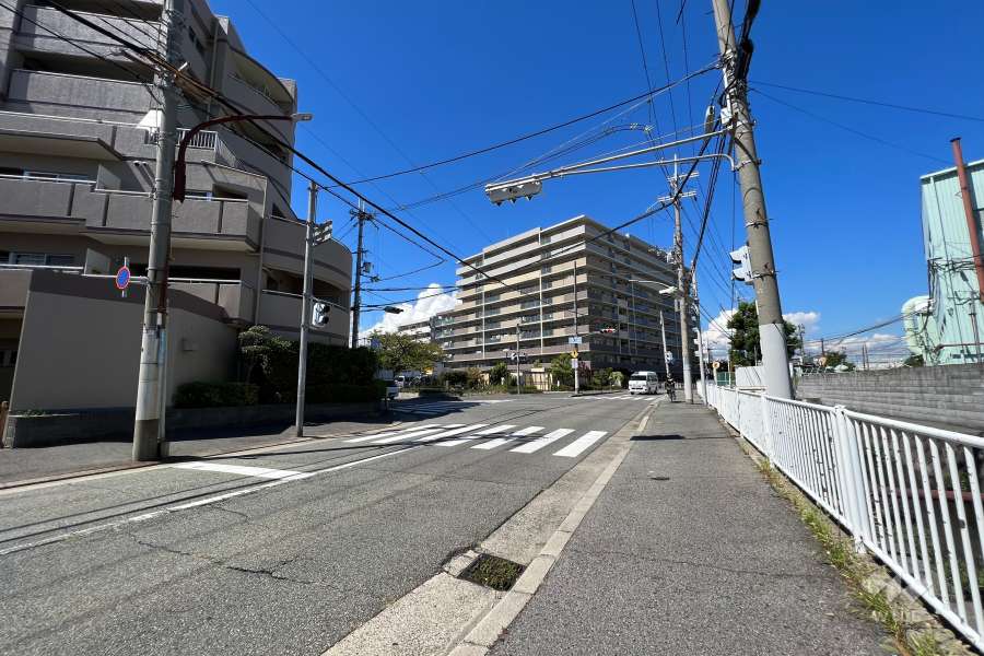 敷地東側の前面道路（南側から）
