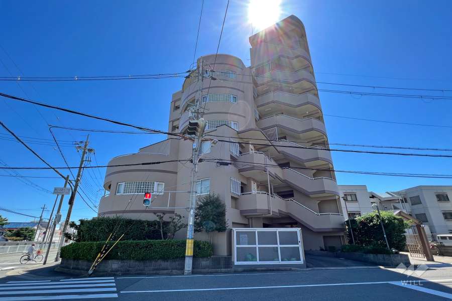 フリーデンハイム立花の外観（東側から）