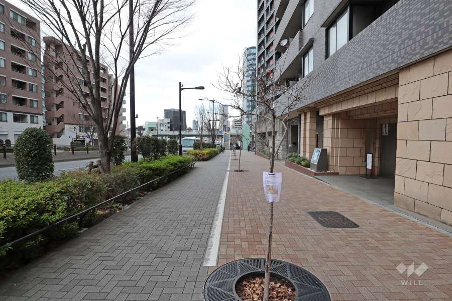 敷地西側の前面道路