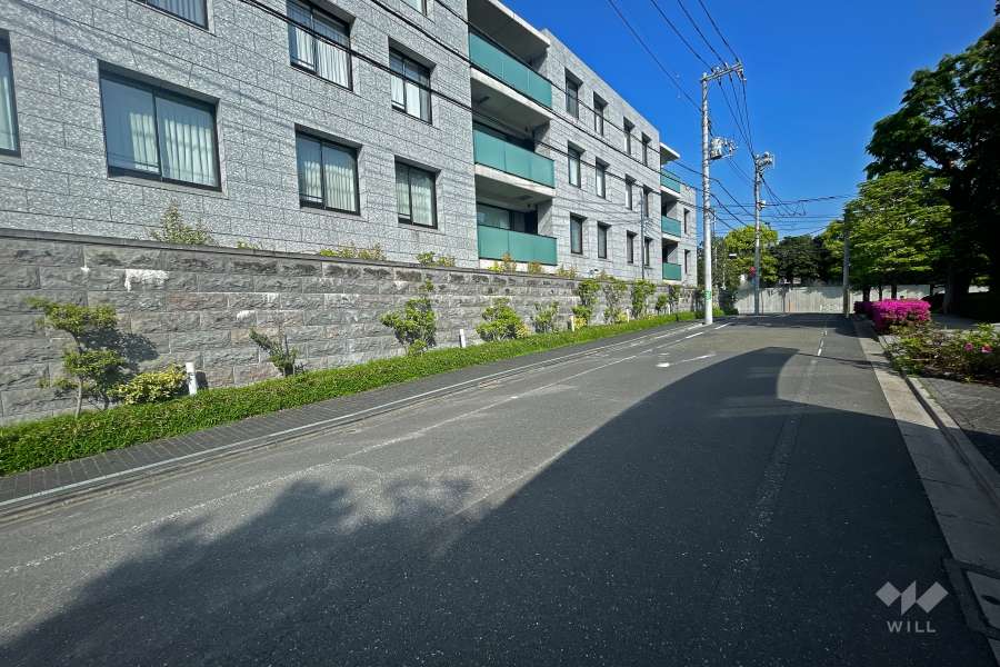 敷地北東側の前面道路（南東側から）