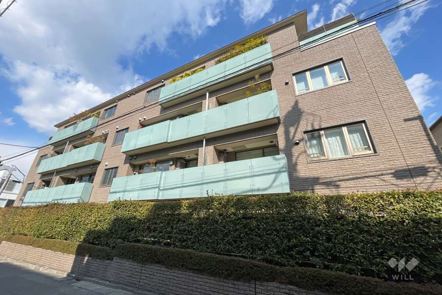 南西側の外観（南側から）