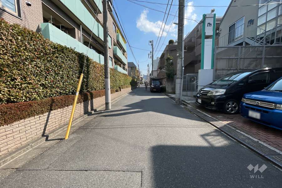 敷地南西側の前面道路（北西側から）