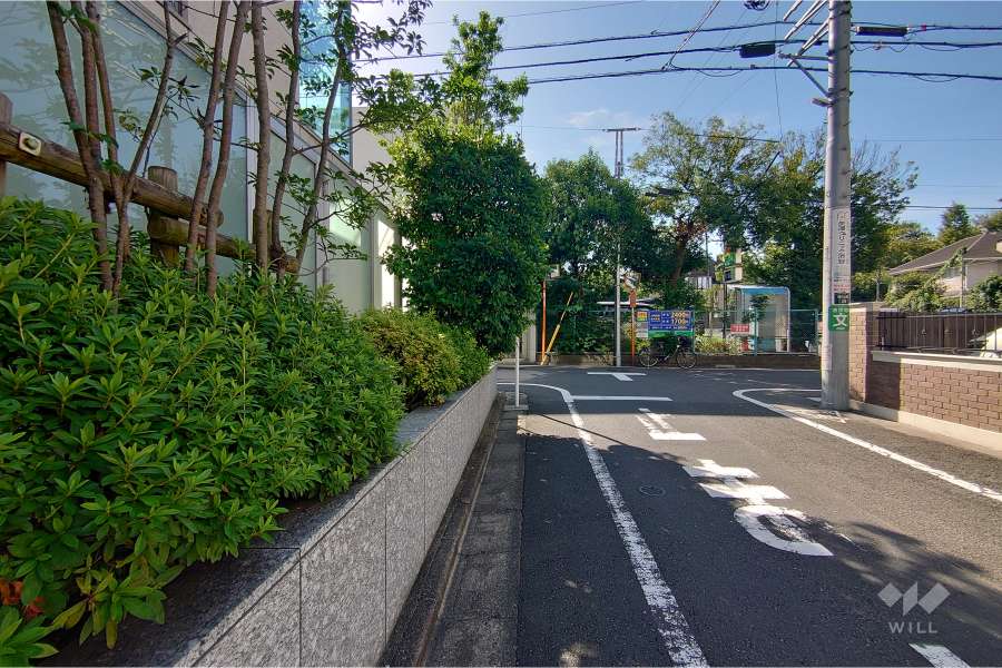 敷地南西側の前面道路（北西側から）
