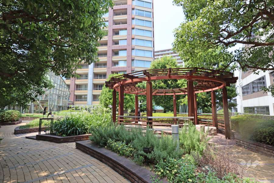 敷地内の各所に植栽スペースが設けられています。