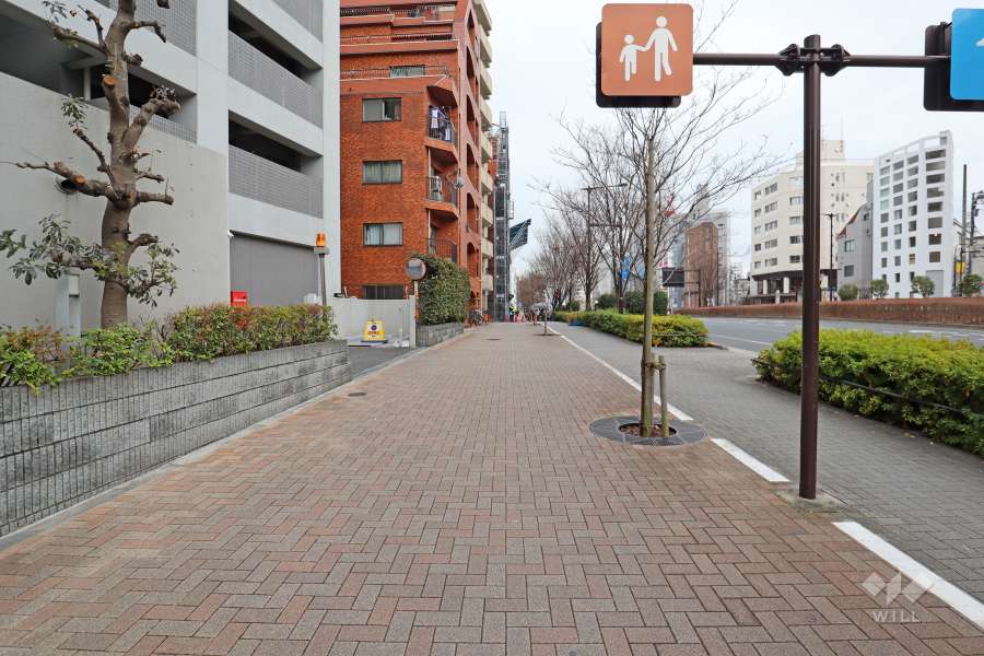 敷地西側の前面道路