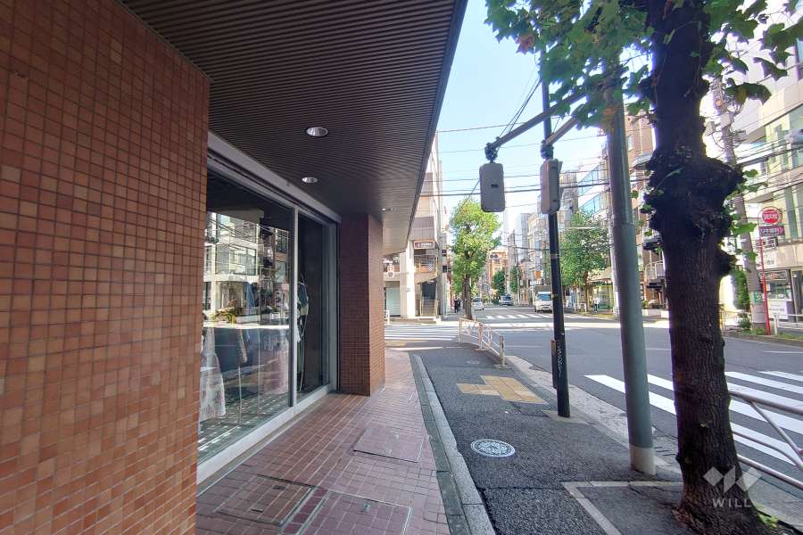 敷地南東側の前面道路（北東側から）